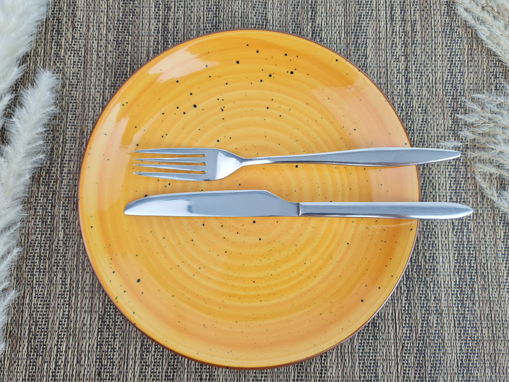 staainless steel fork and knife