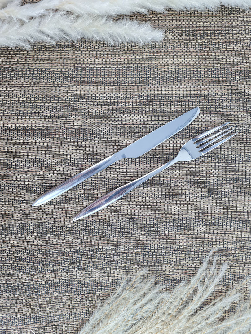Stainless Steel Frok and knife