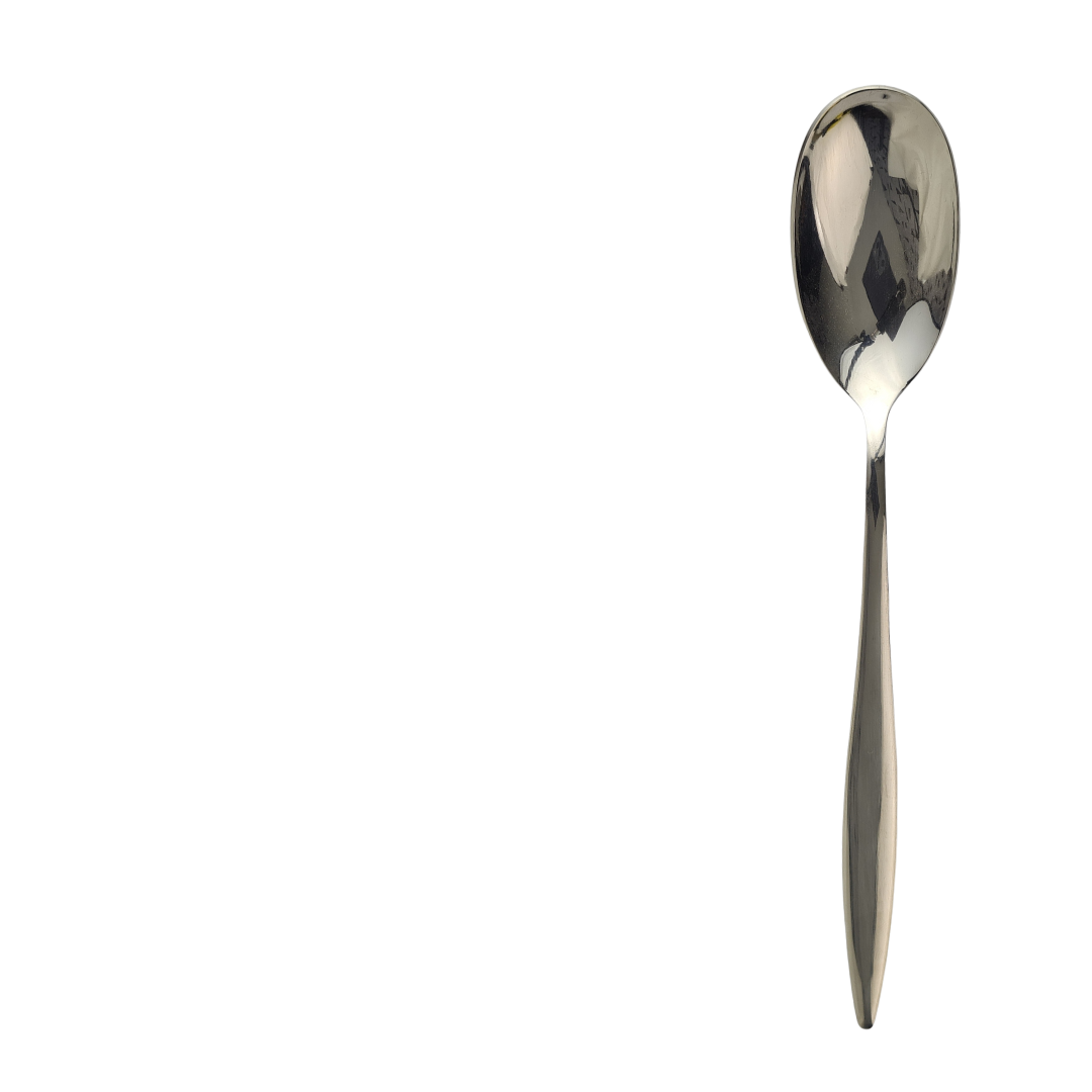 stainless steel dinner spoon