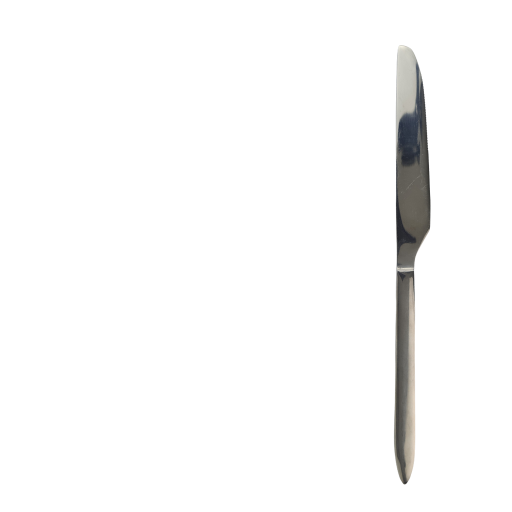 stainless steel dinner knife