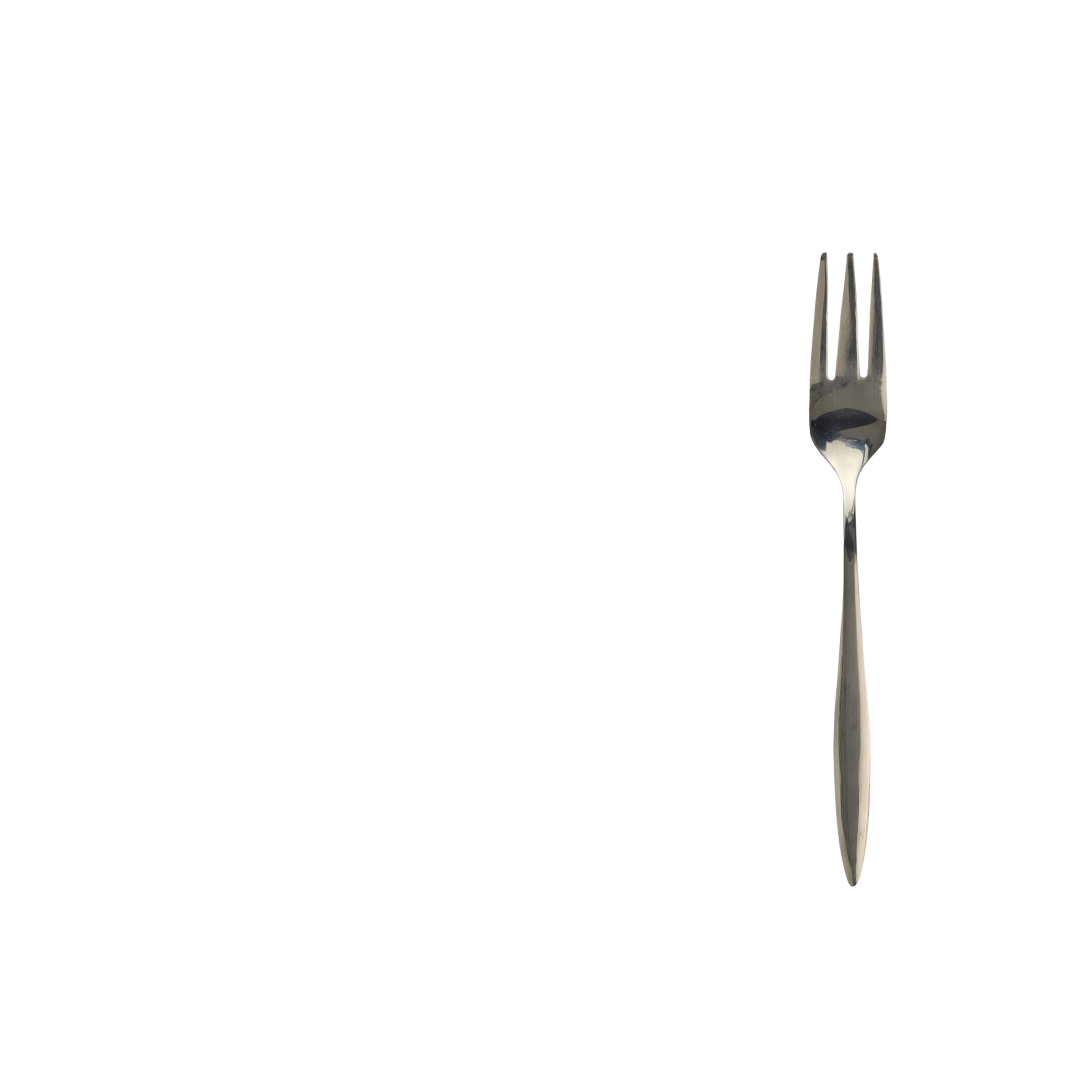 stainless steel froot fork