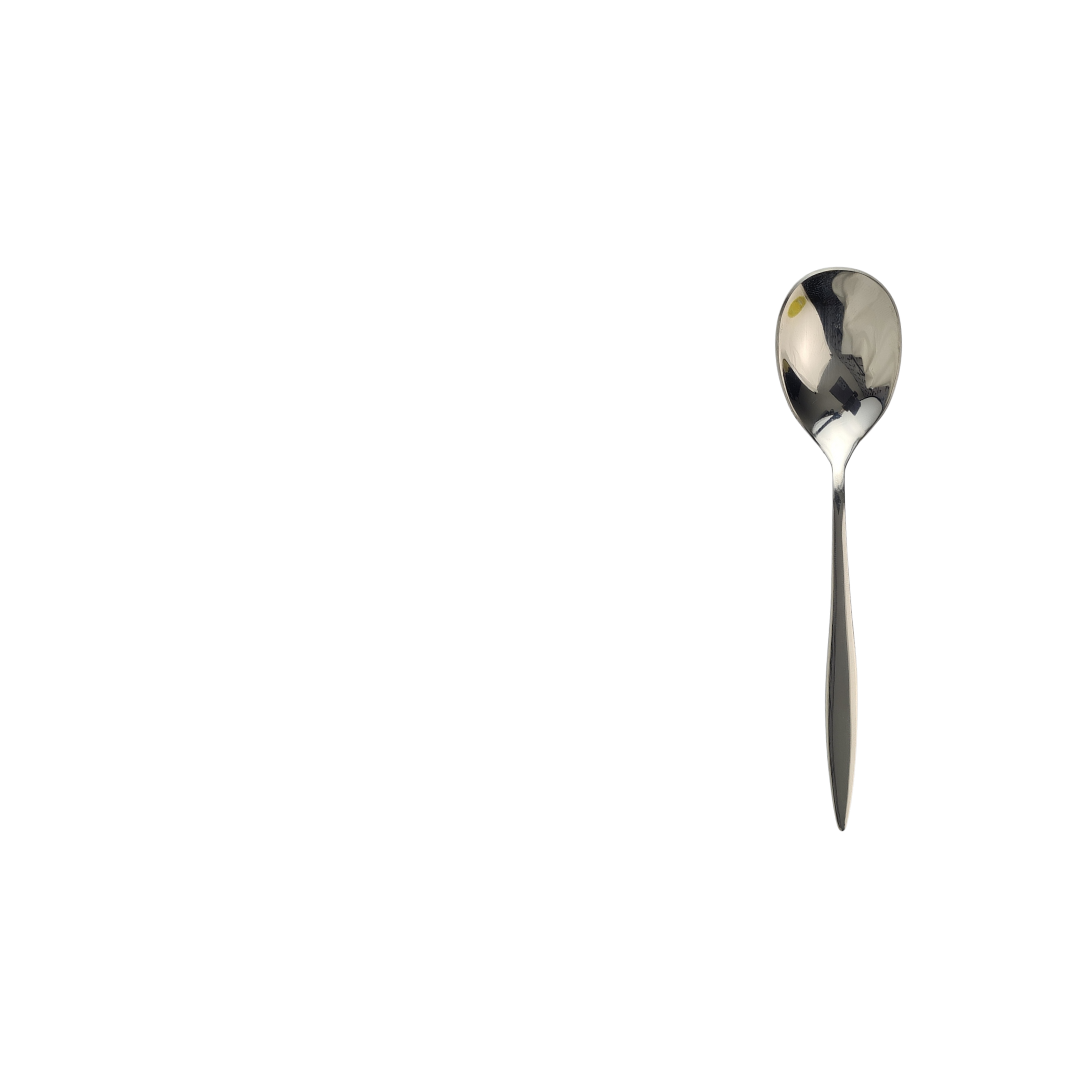 stainless steel ice cream spoon